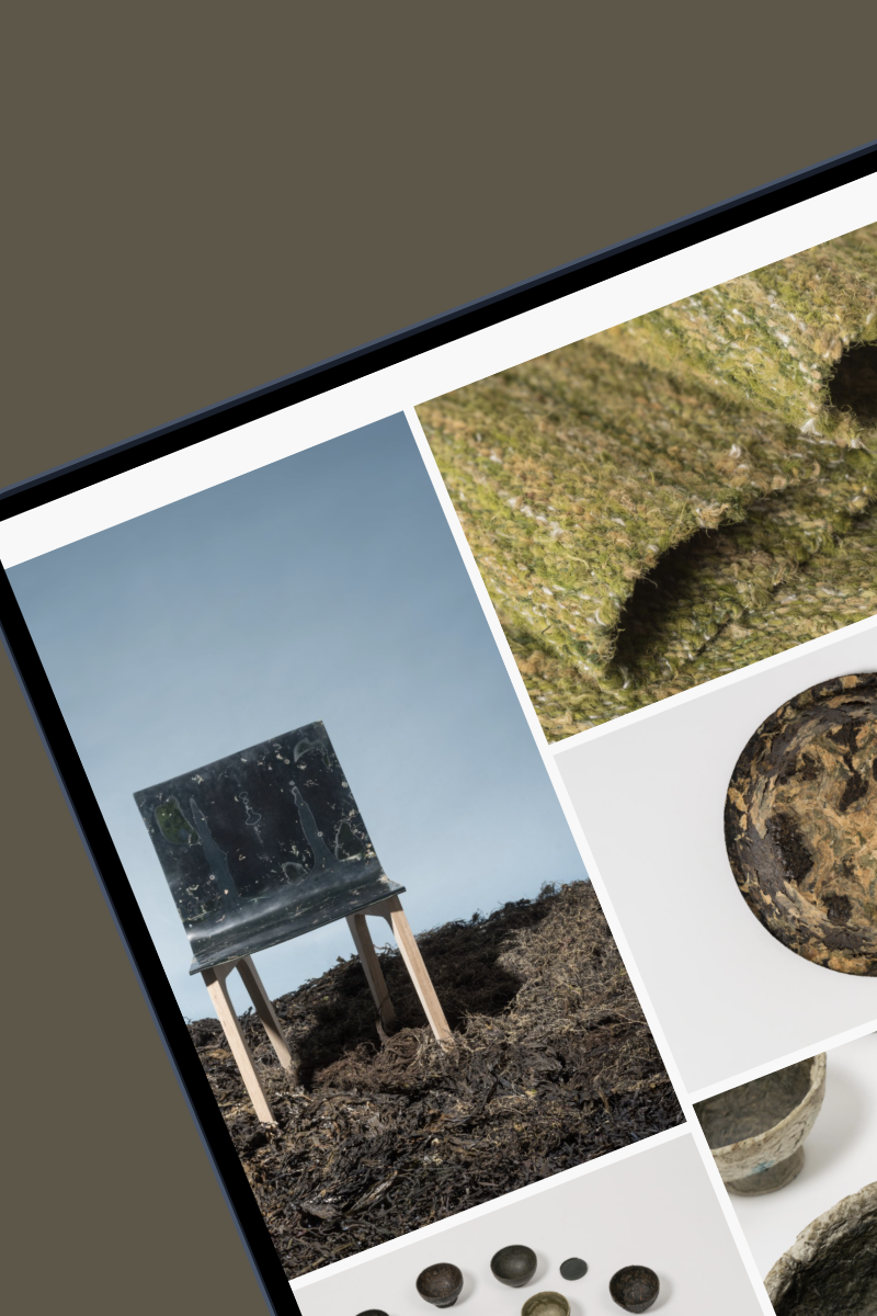 Studio Clax - Création et développement de site internets à Nice - Alga Samuel Tomatis Design